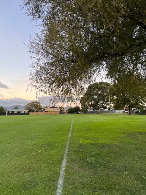 Parks, a report photo