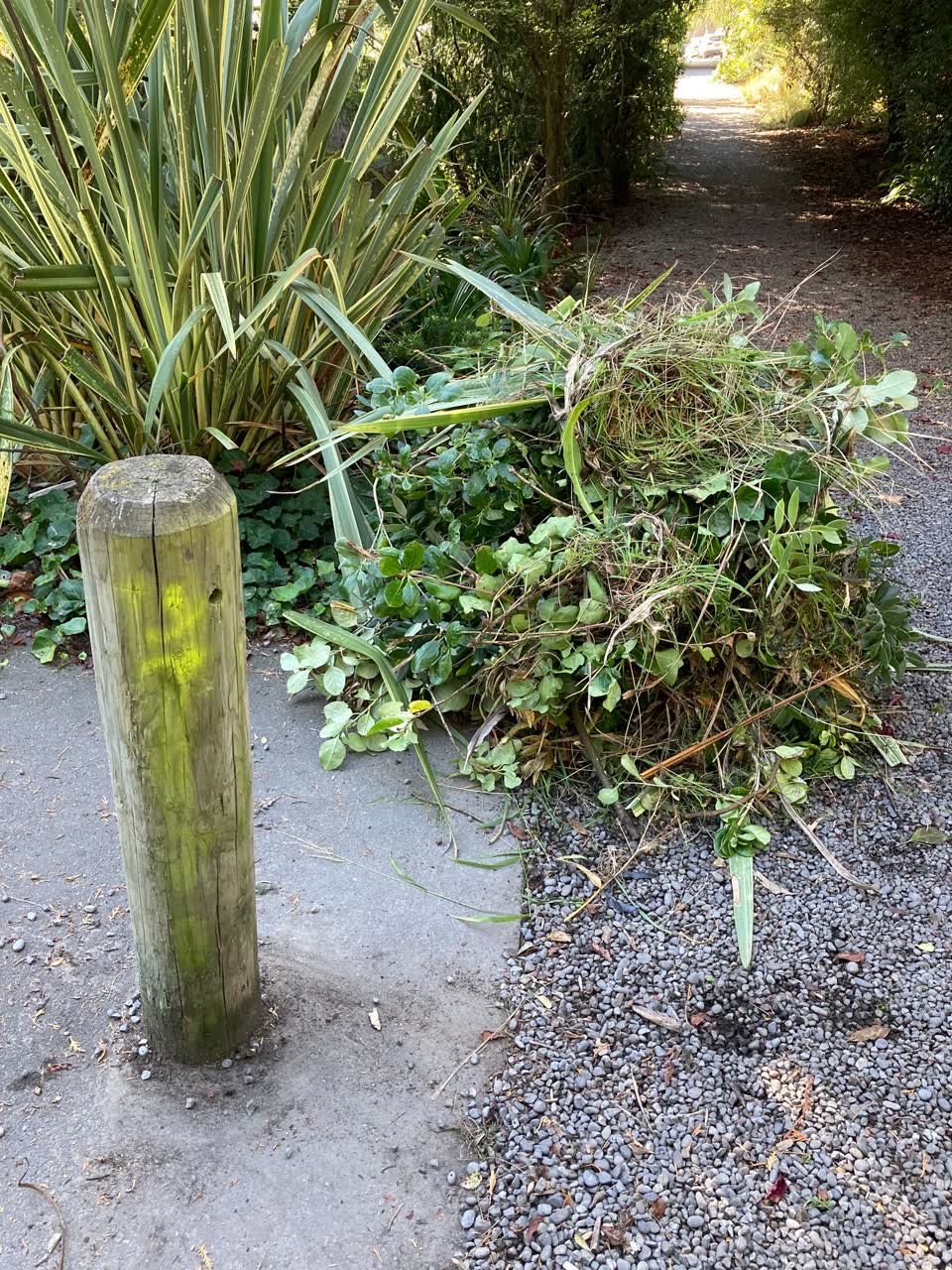 The photograph attached to this parks report