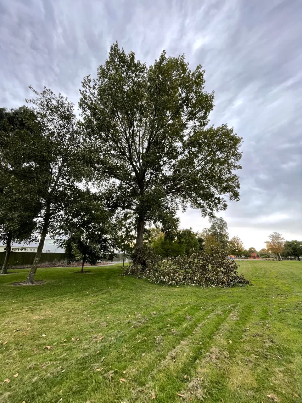 The photograph attached to this parks report
