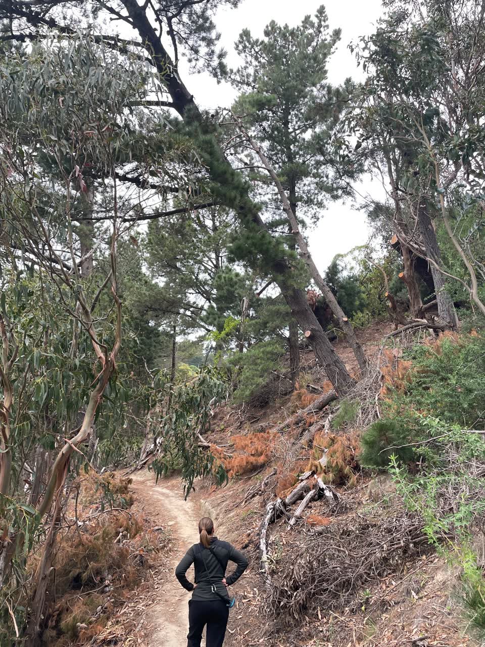 The photograph attached to this parks report