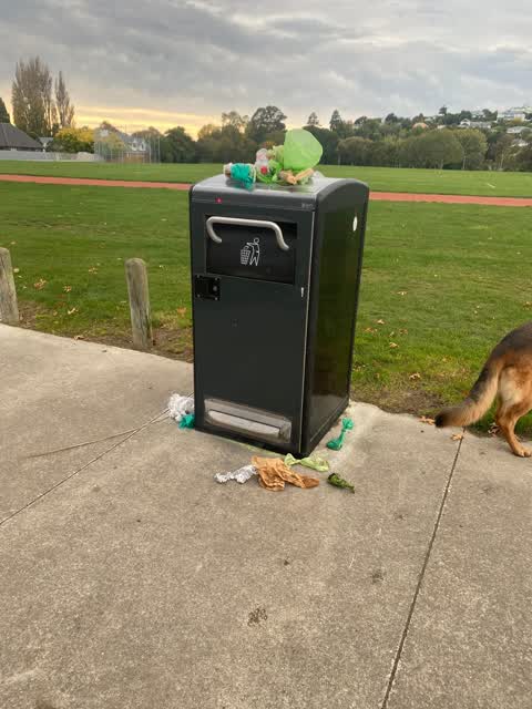 Rubbish/Recycling — a report photo