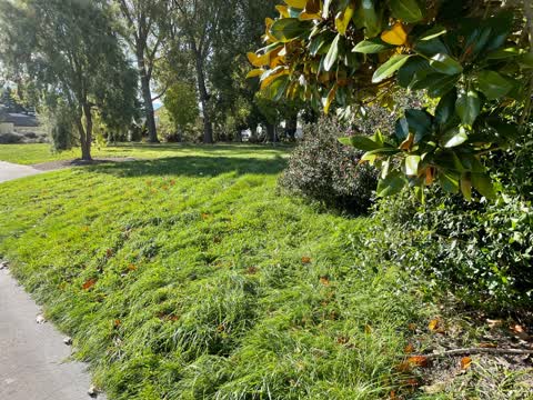 Parks, a report photo