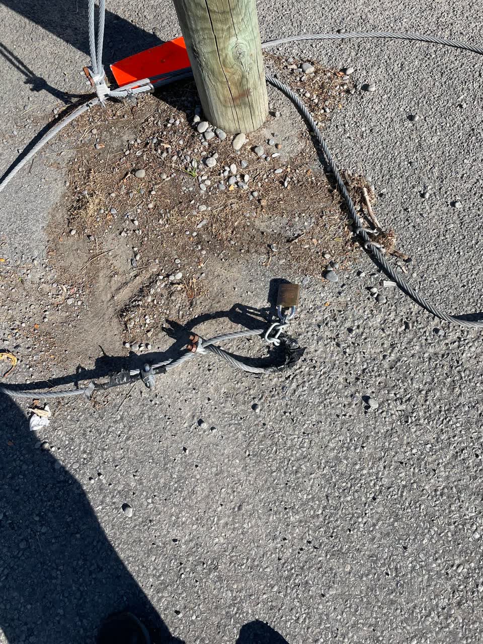 The photograph attached to this parks report