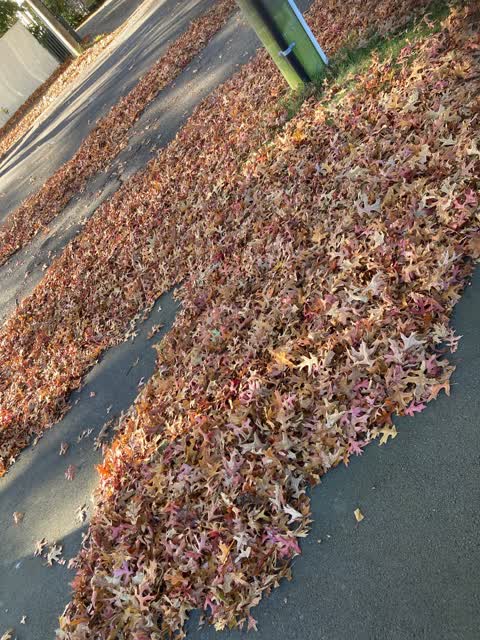 Roading/Streets, a report photo