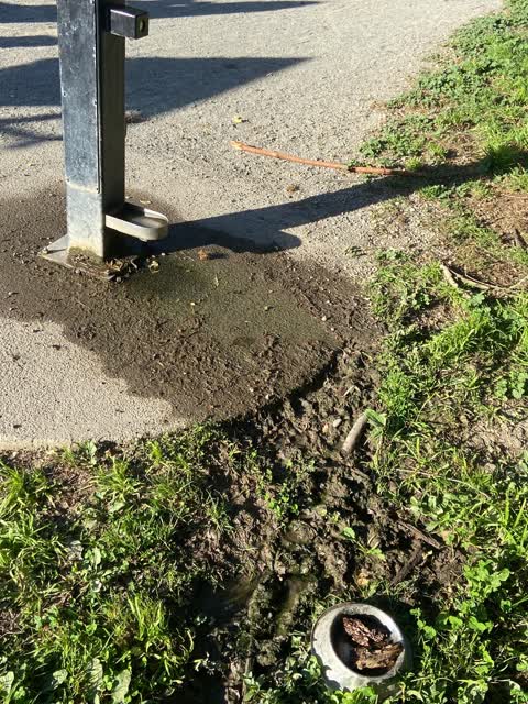 Parks, a report photo
