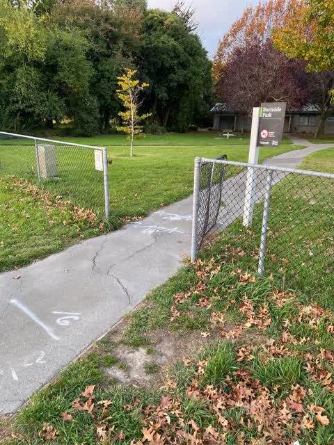 Parks, a report photo