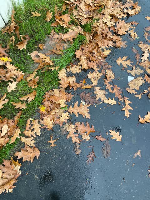 Water Leak, a report photo