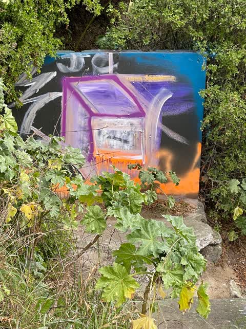 Graffiti, a report photo