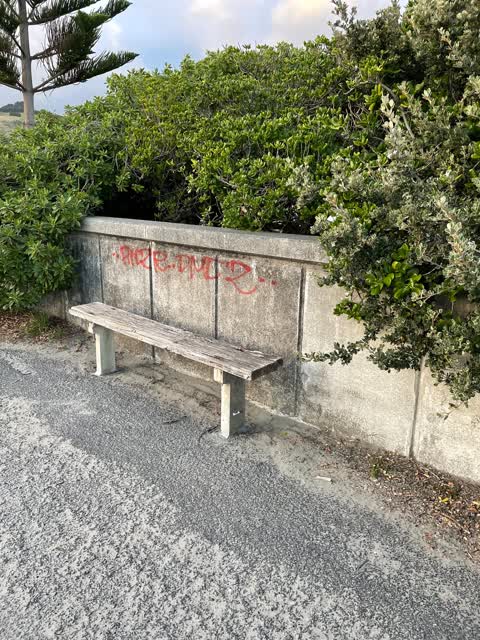 Graffiti — a report photo