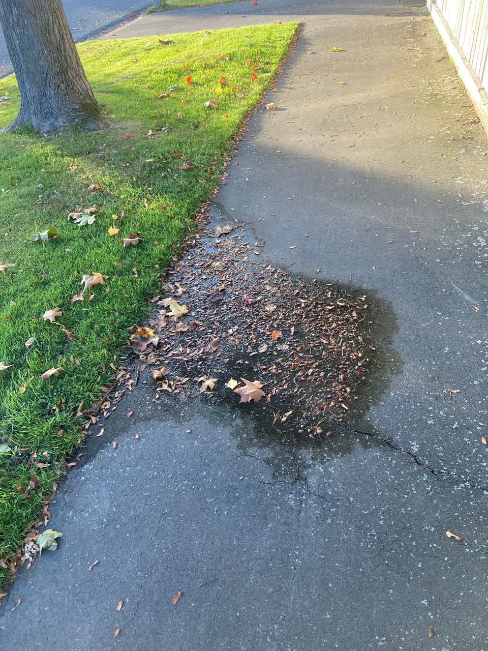 The photograph attached to this water leak report