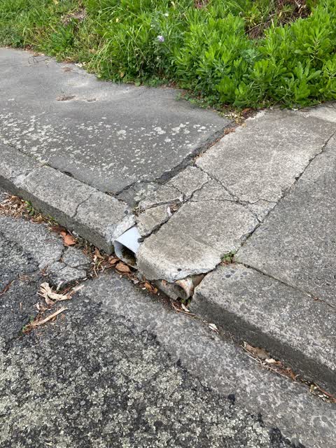 Roading/Streets, a report photo