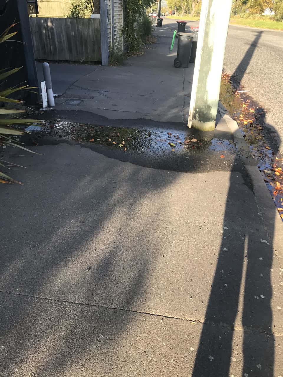 The photograph attached to this water leak report