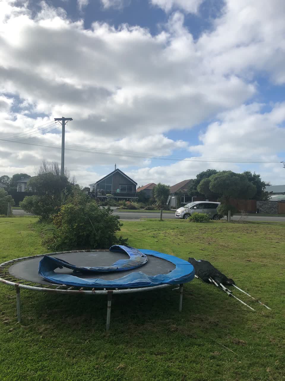 The photograph attached to this parks report