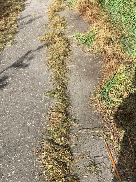 Parks, a report photo