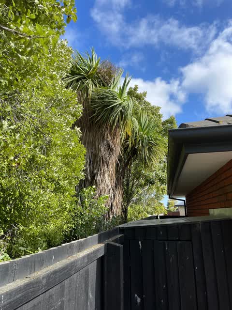 Parks, a report photo