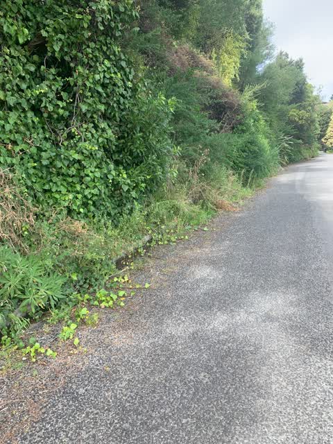 Roading/Streets, a report photo
