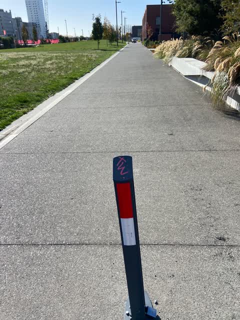 Graffiti — a report photo