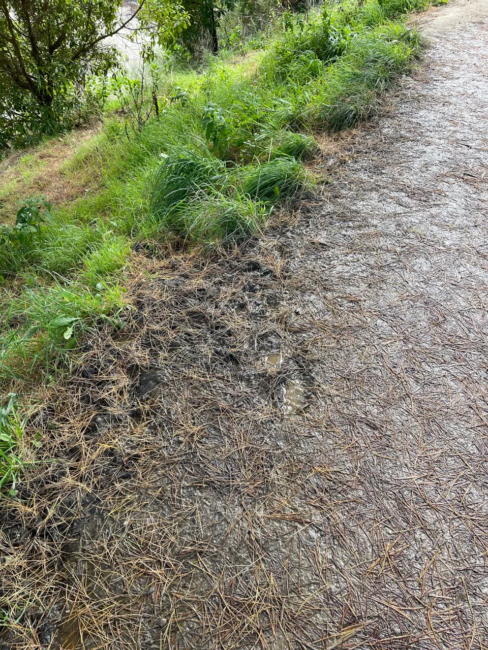 The photograph attached to this roading/streets report