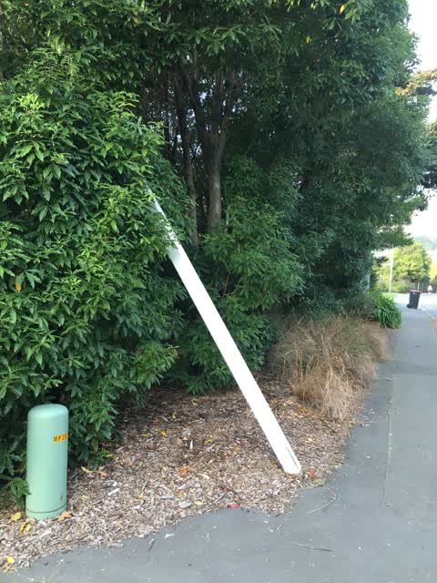 Roading/Streets, a report photo