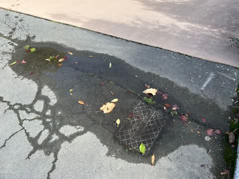Water Leak, a report photo