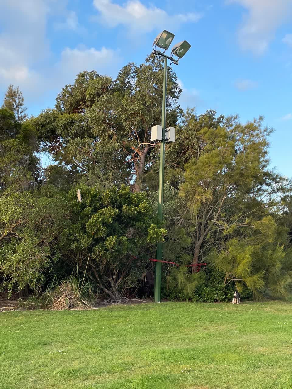The photograph attached to this parks report