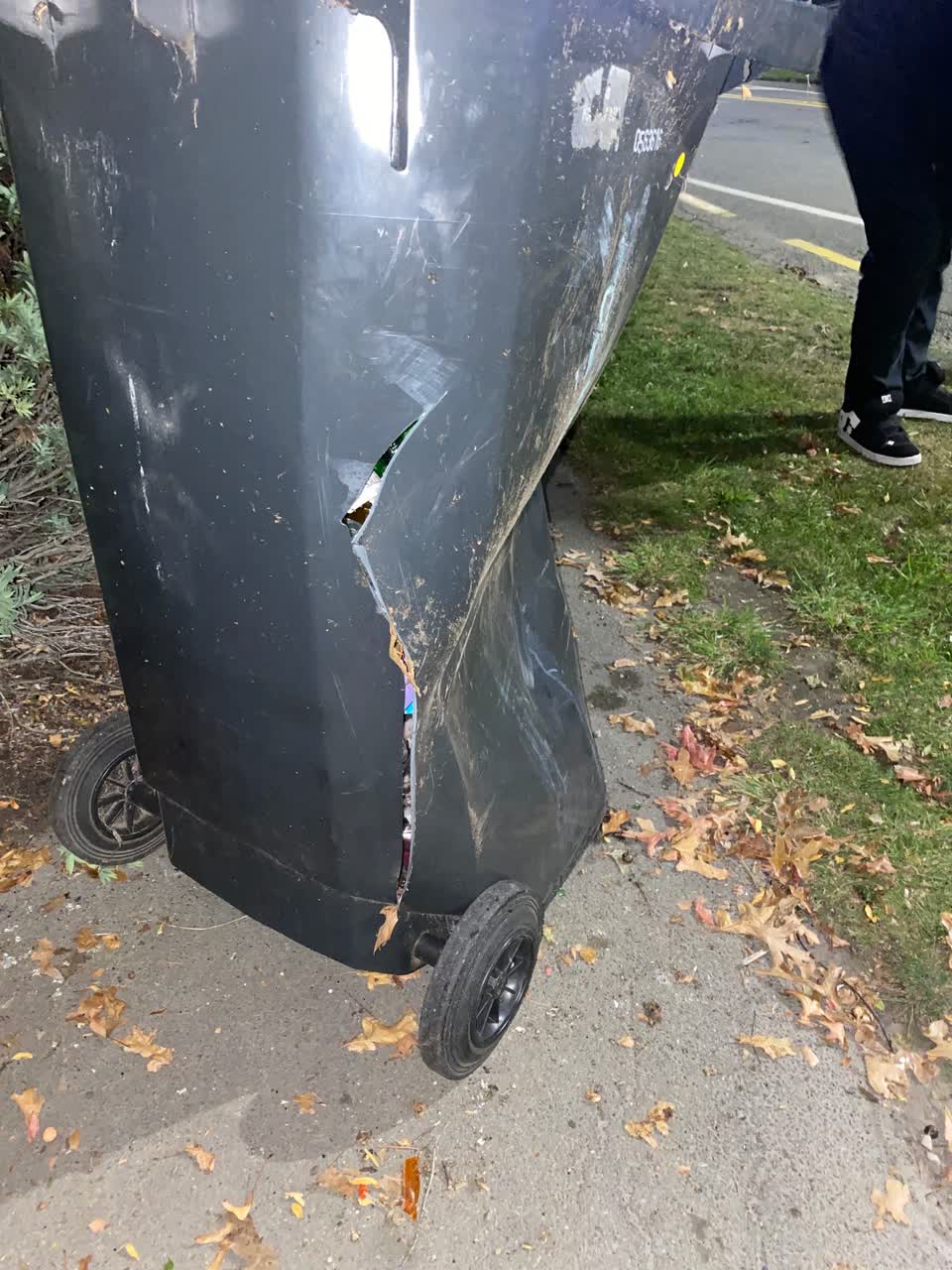 The photograph attached to this rubbish/recycling report
