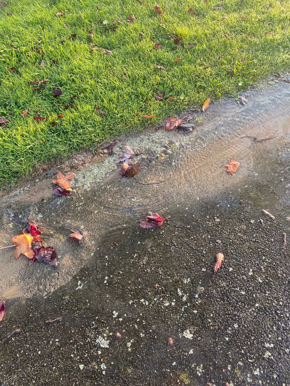 The photograph attached to this water leak report