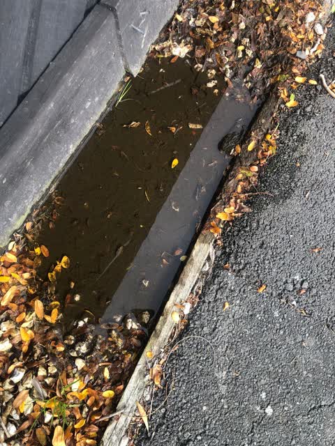 Wastewater/Stormwater, a report photo