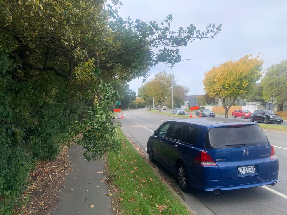 The photograph attached to this parks report