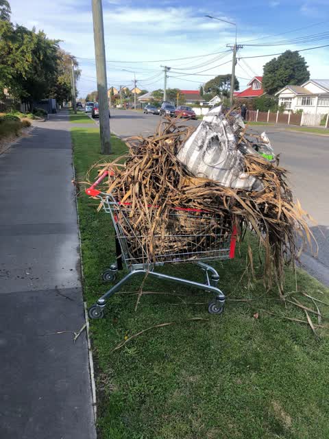 Rubbish/Recycling, a report photo