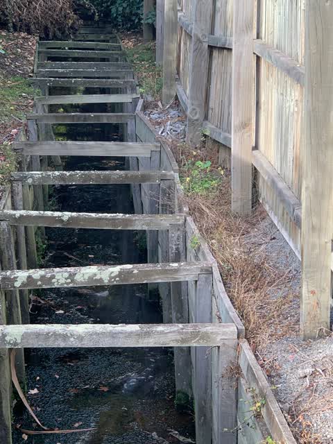 Wastewater/Stormwater, a report photo
