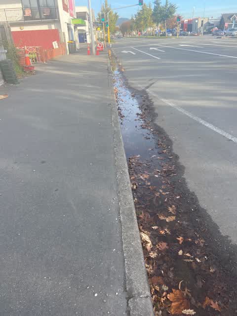 Water Leak, a report photo
