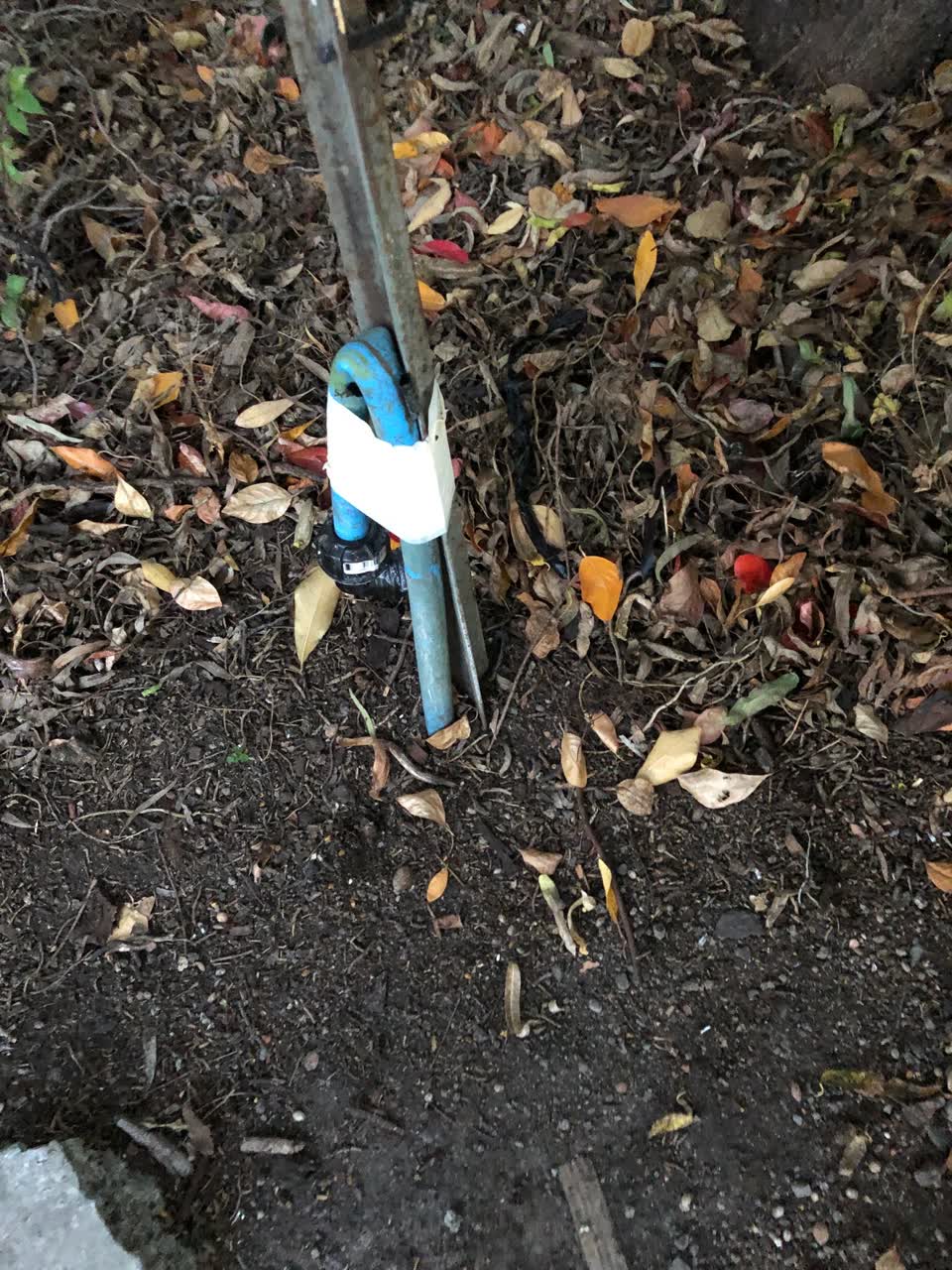 The photograph attached to this parks report