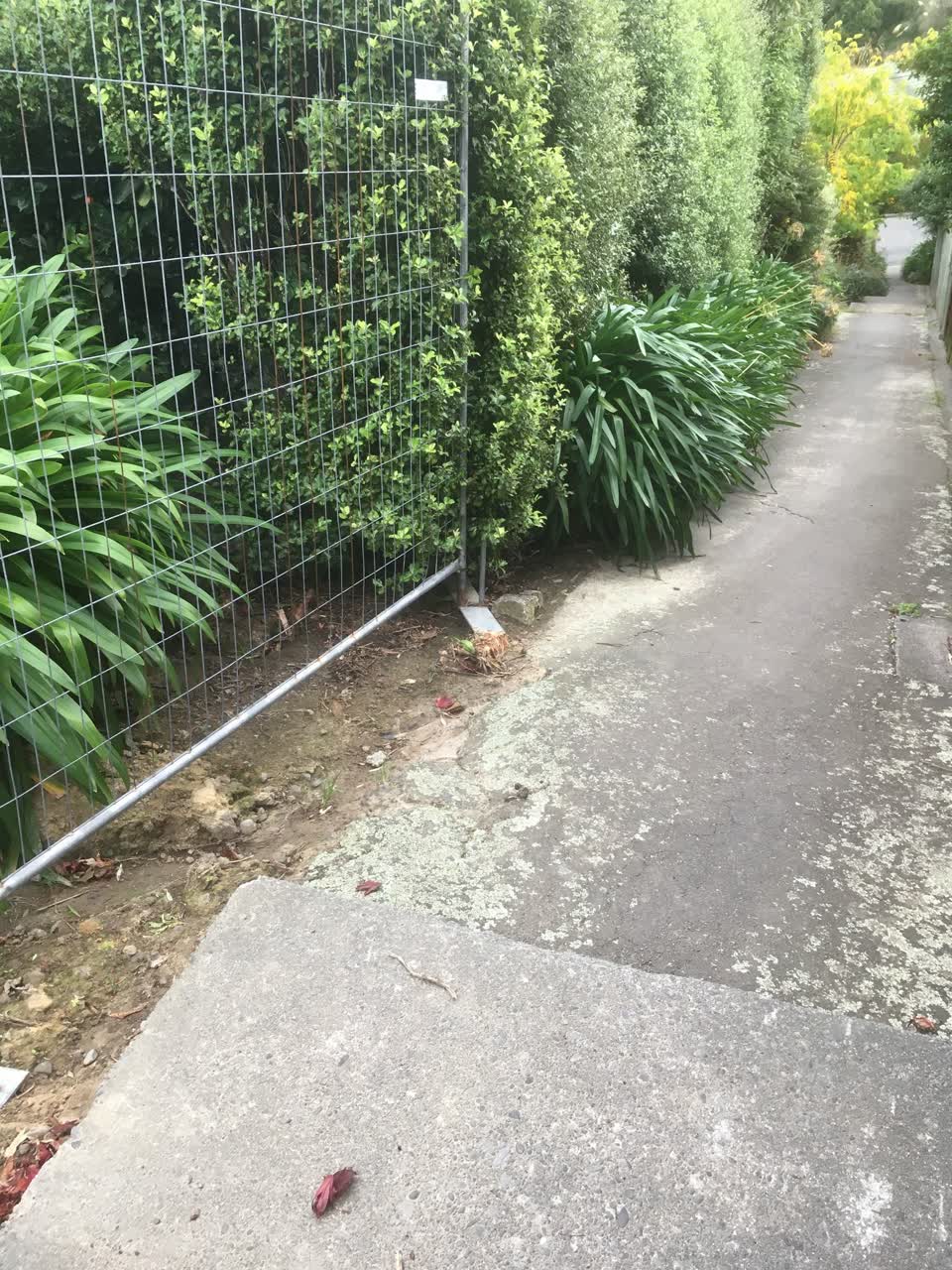 The photograph attached to this parks report