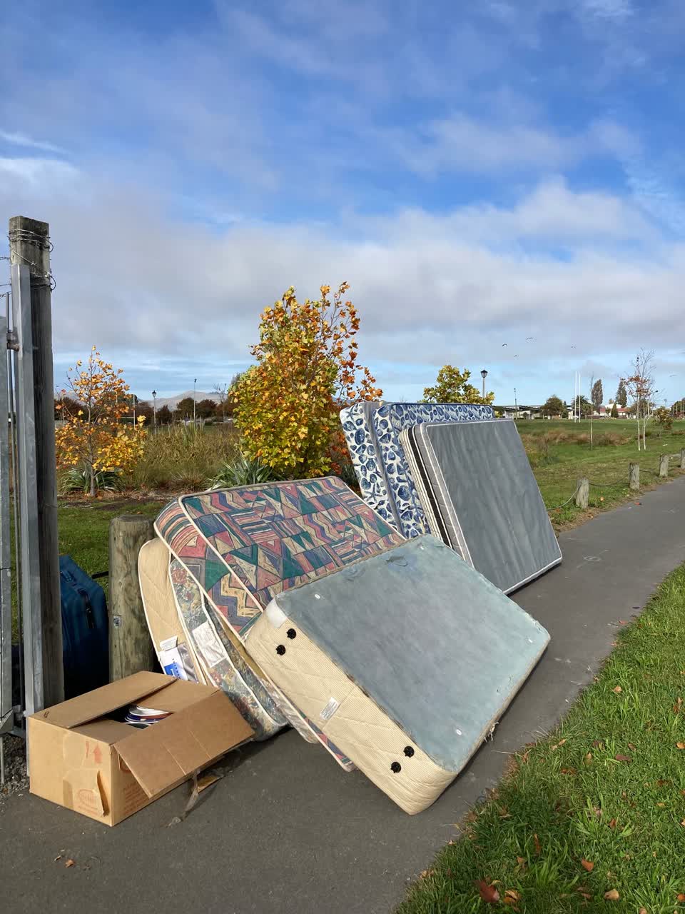 The photograph attached to this rubbish/recycling report