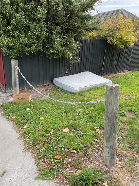 Rubbish/Recycling — a report photo