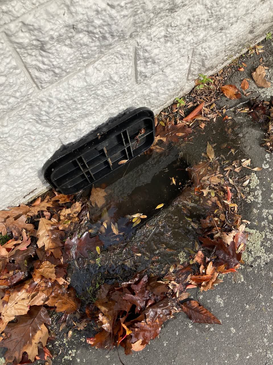 The photograph attached to this water leak report