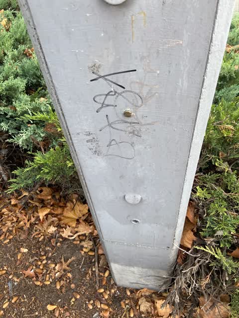 Graffiti, a report photo