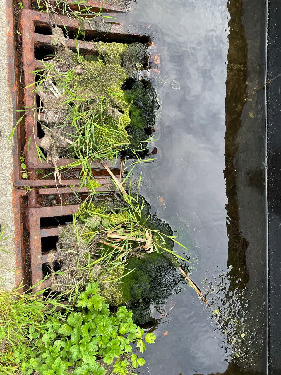 The photograph attached to this wastewater/stormwater report