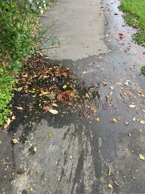 Water Leak, a report photo