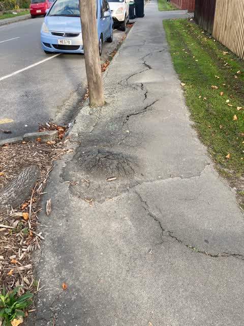 Roading/Streets, a report photo