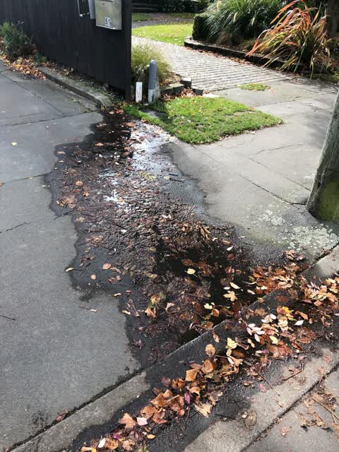 Water Leak, a report photo