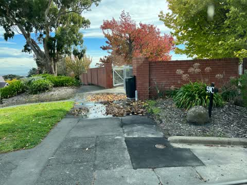 Water Leak, a report photo