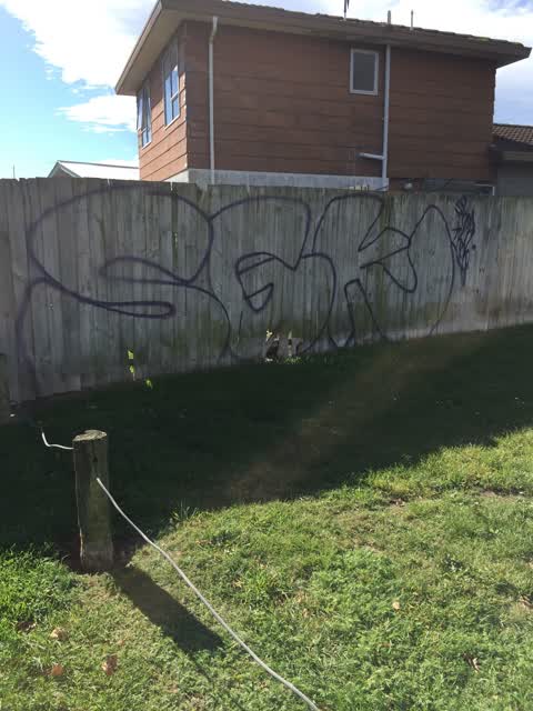 Graffiti, a report photo