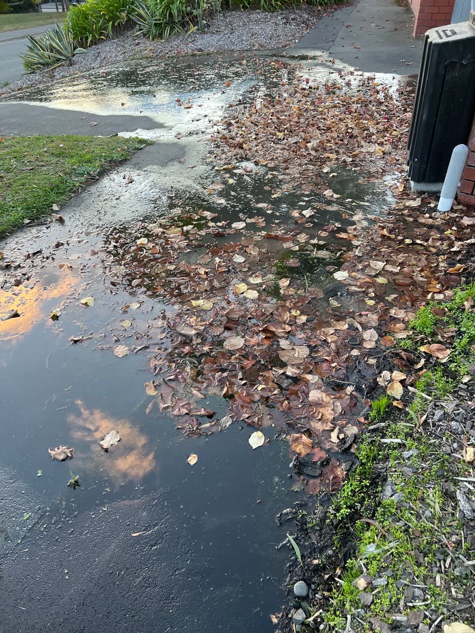 The photograph attached to this water leak report