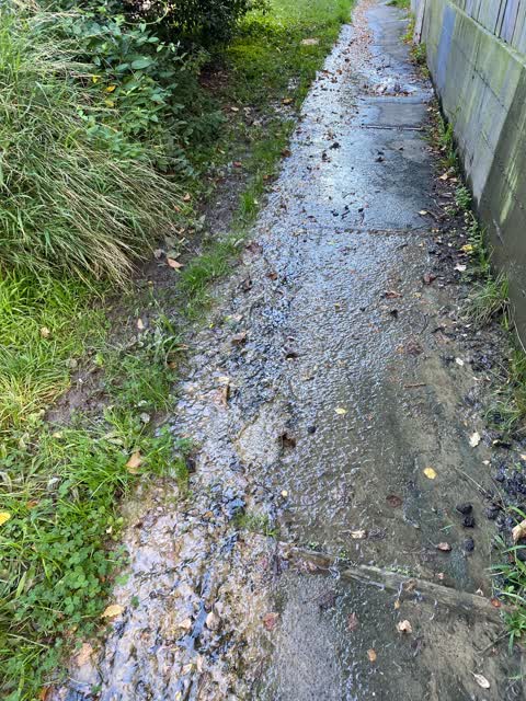 Flooding, a report photo