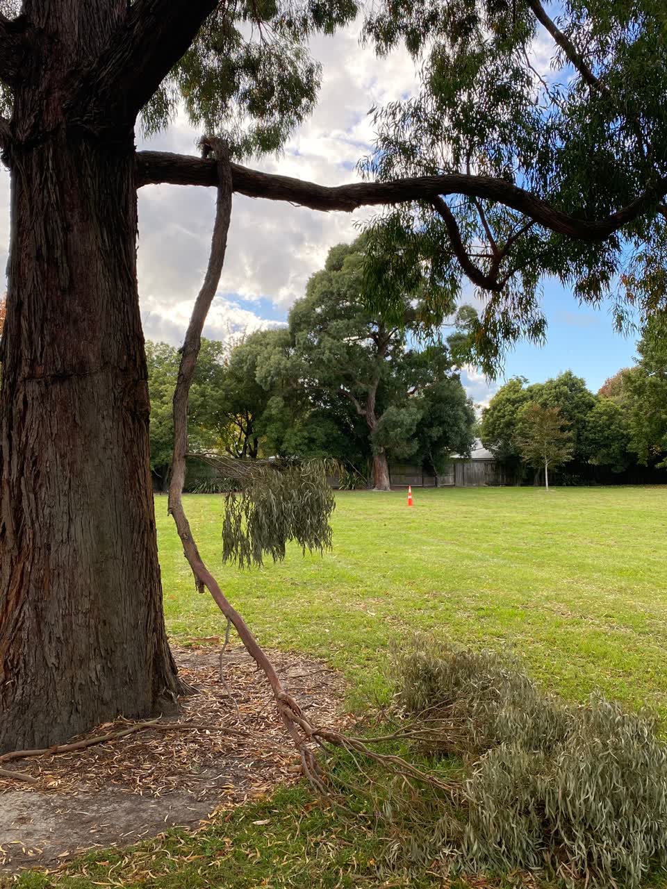 The photograph attached to this parks report