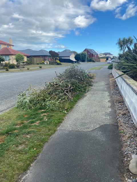Rubbish/Recycling, a report photo