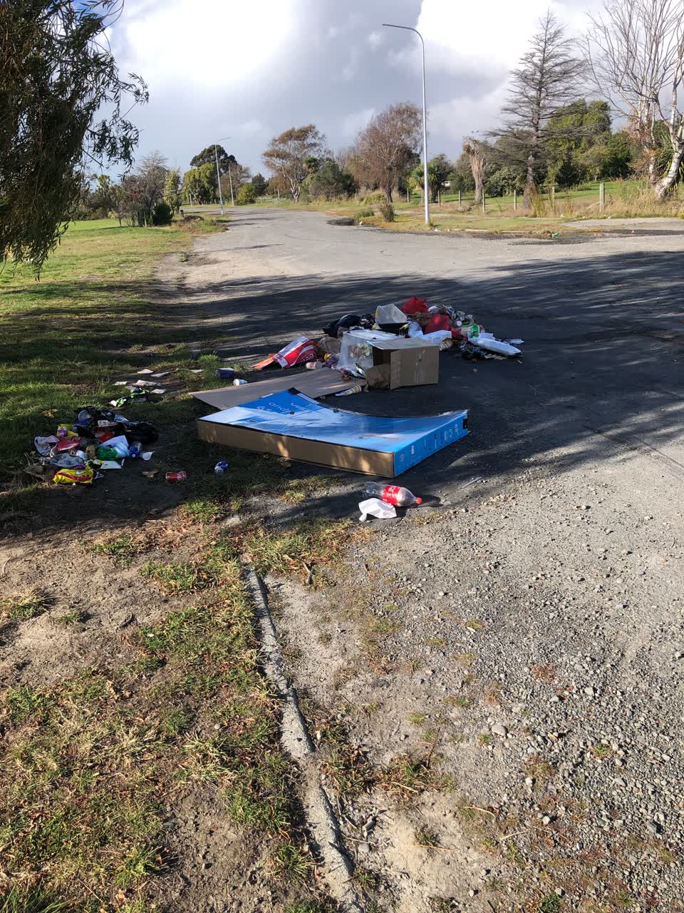 The photograph attached to this rubbish/recycling report