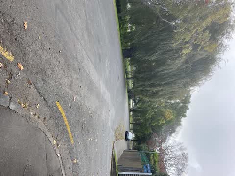 Roading/Streets, a report photo